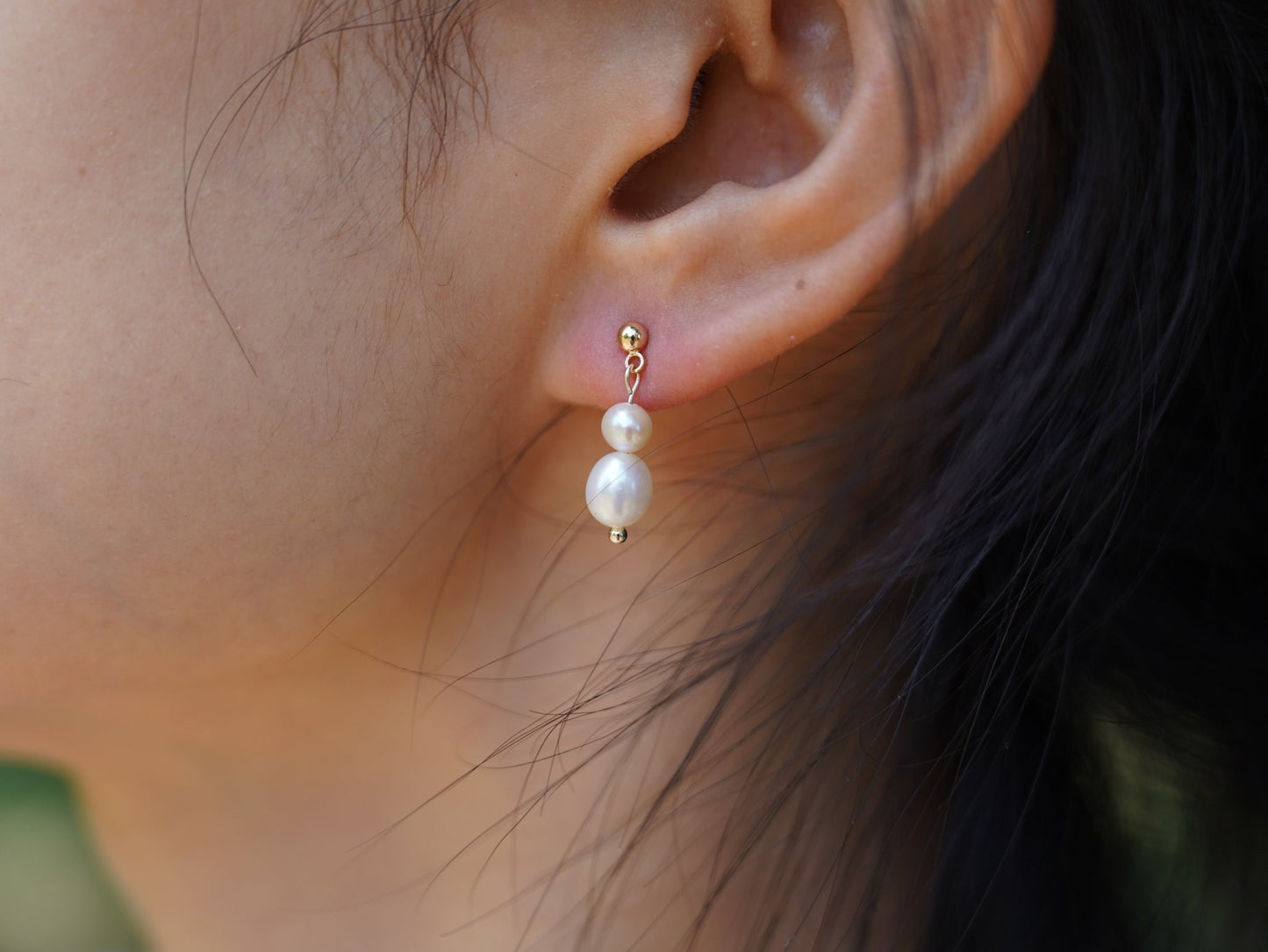 Étoiles de Mer - Lysées