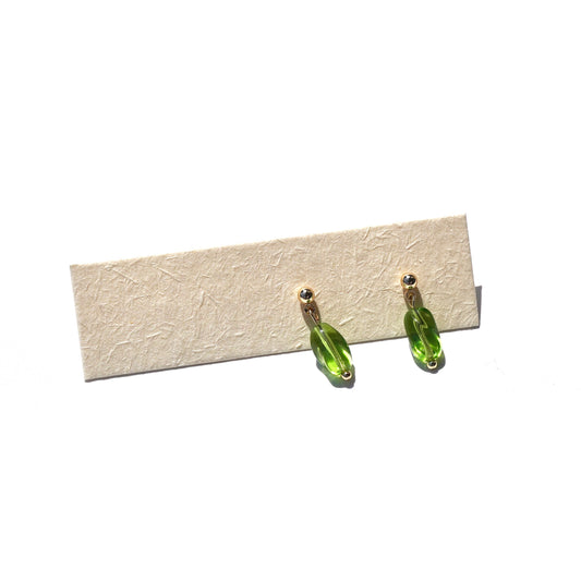 Olive Lumineuse
