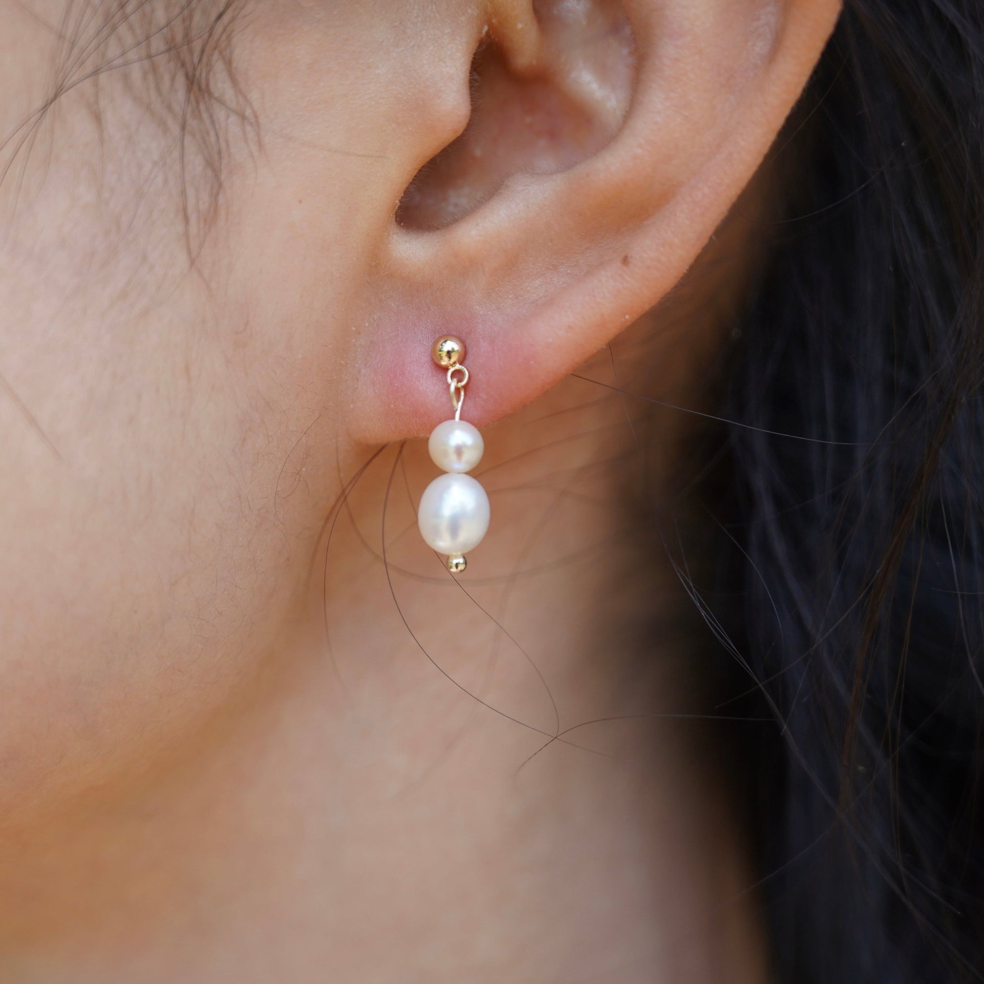 Étoiles de Mer - Lysées