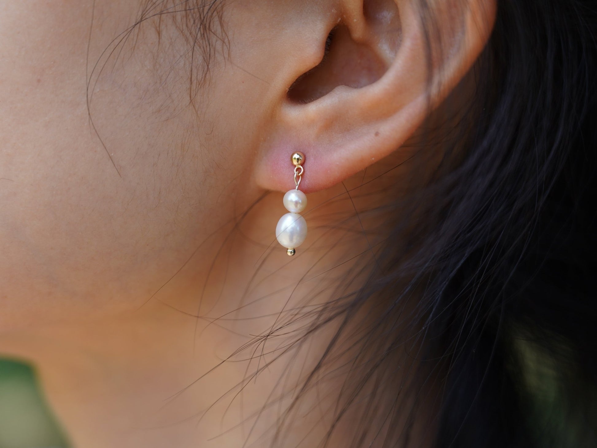 Étoiles de Mer - Lysées